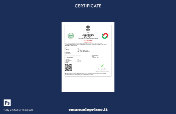 stile verificato Modello di certificato di nascita del Dipartimento della salute