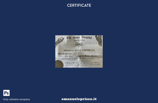 stile verificato Modello di certificato di nascita del Grace Hospital del Michig