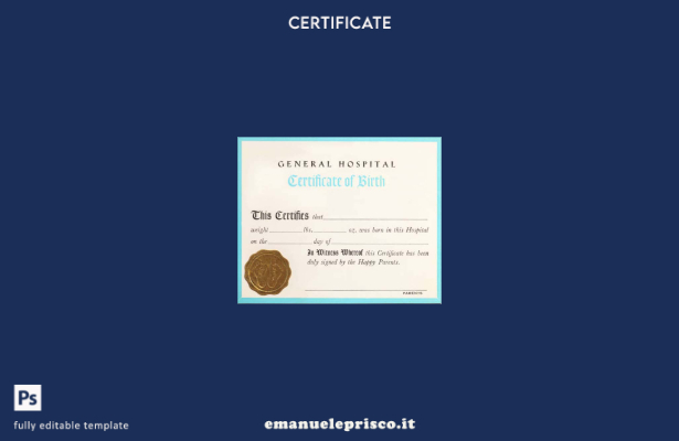 stile verificato Modello di certificato di nascita dell'ospedale generale