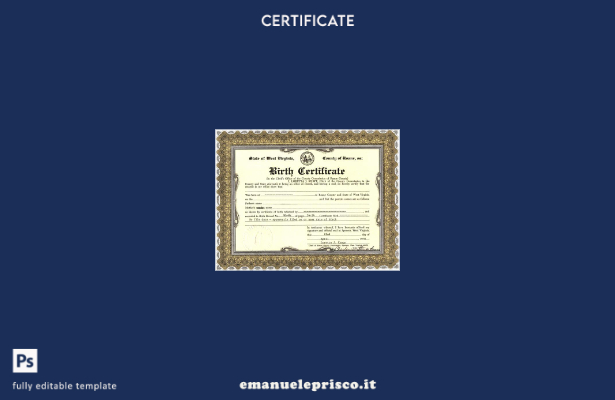 stile verificato Modello di certificato di nascita dell'ufficio del cancelliere