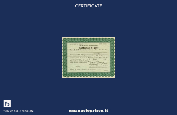 stile verificato Modello di certificato di nascita della divisione di statistica