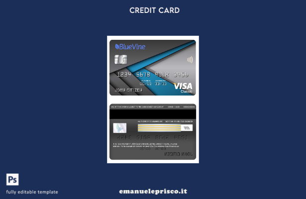 modello di carta classico per visto bancario USA California BlueVine in stile ve