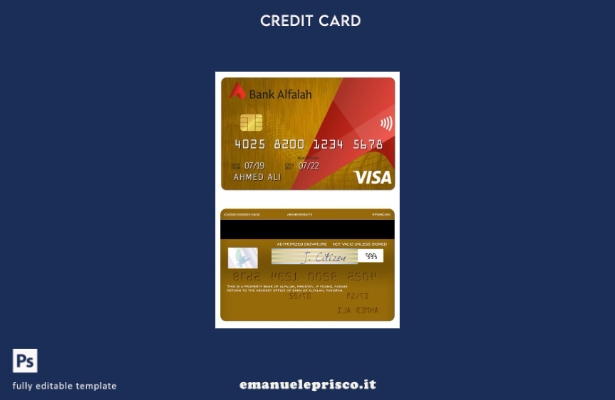 modello di carta di credito oro visto Pakistan Bank of Alfalah in stile verifica