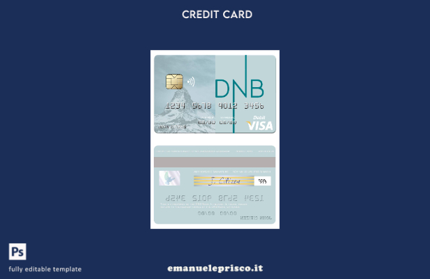 stile verificato Modello di carta di debito visto Lituania DNB Bank