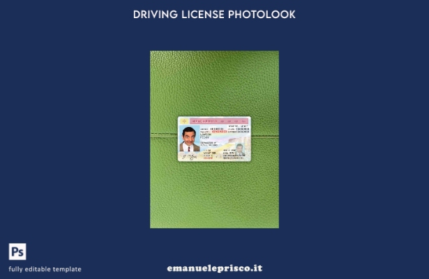 modello FRONTALE photolook DL dello stato degli Stati Uniti in stile verificato