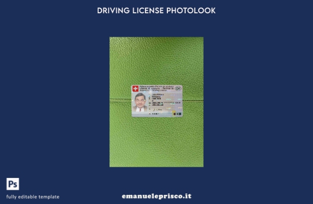 modello FRONTALE photolook Svizzera DL stile verificato