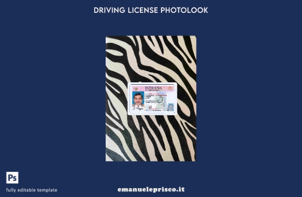 modello FRONTALE photolook USA Indiana DL stile verificato