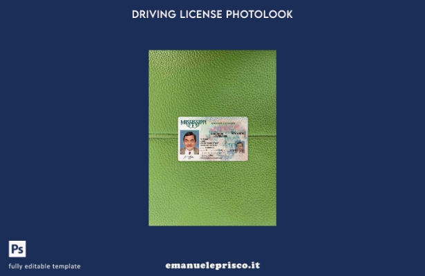 modello FRONTALE photolook USA Mississippi DL stile verificato