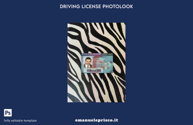 modello FRONTALE photolook della patente di guida di Singapore in stile verifica