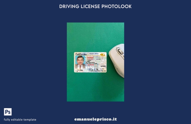 modello FRONTALE photolook stile USA California DL (gennaio – presente) verifica