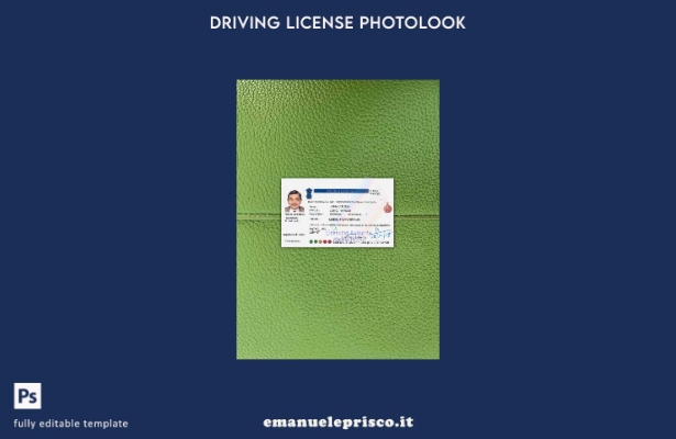modello FRONTALE photolook versione patente di guida indiana stile verificato