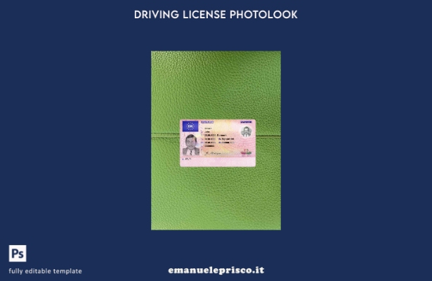 modello FRONTE photolook Danimarca DL stile verificato