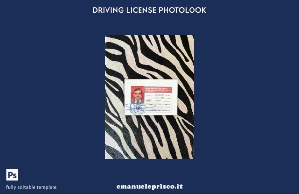 modello FRONTE photolook Libia DL stile verificato