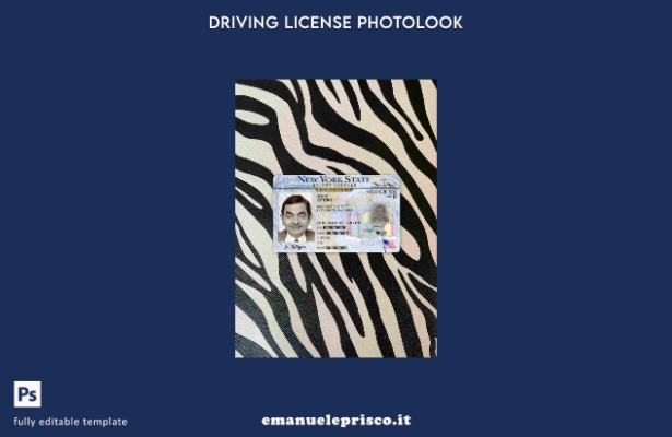 modello FRONTE photolook USA New York DL stile verificato