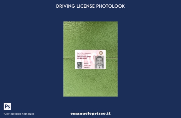 modello anteriore photolook della carta del conducente professionale in stile ve