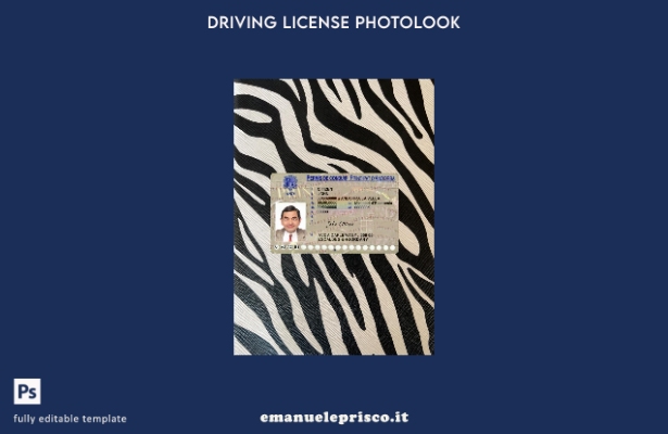 modello anteriore photolook patente di guida Andorra stile verificato