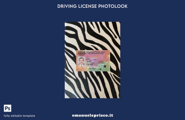 modello anteriore photolook patente di guida guine bissau stile verificato