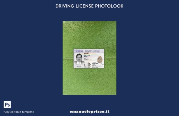 modello di photolook anteriore di guida in stile verificato USA Virginia