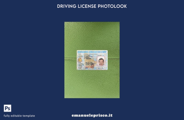 modello frontale photolook per patente di guida delle Barbados in stile verifica