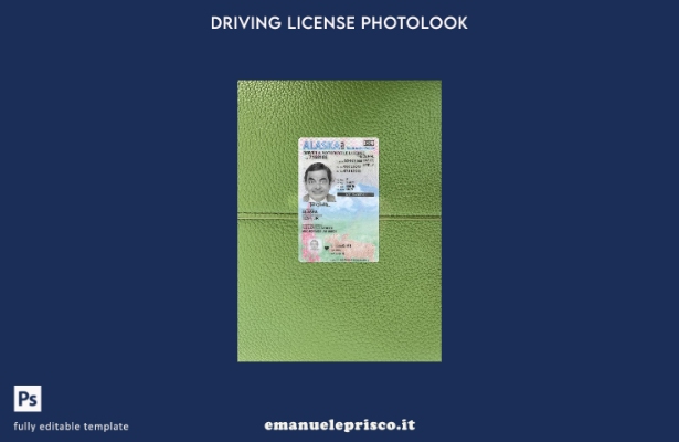 stile verificato USA Alaska con modello frontale photolook con patente di guida
