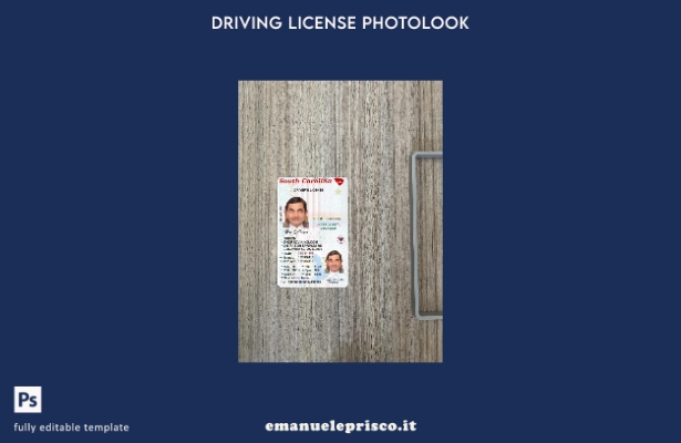 stile verificato USA Carolina del Sud con modello frontale photolook con patente