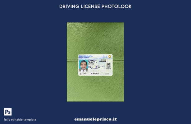 stile verificato USA Michigan DL presente modello frontale photolook