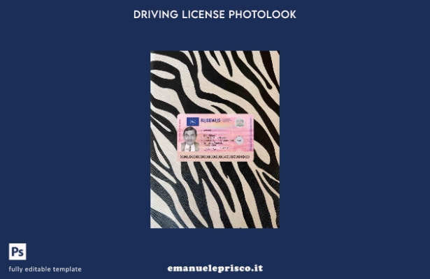 stile verificato modello FRONTALE photolook della nuova patente di guida olandes