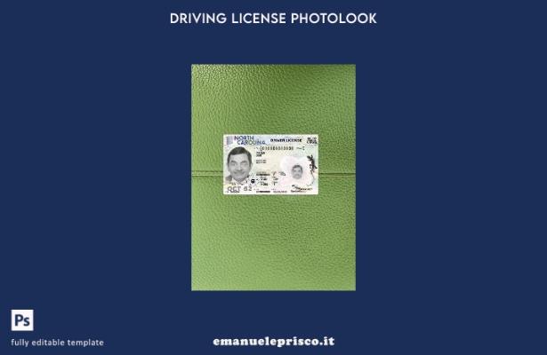stile verificato modello FRONTALE photolook presente della patente di guida USA
