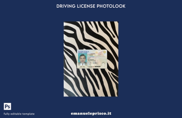 stile verificato modello anteriore photolook della nuova patente di guida USA Ne