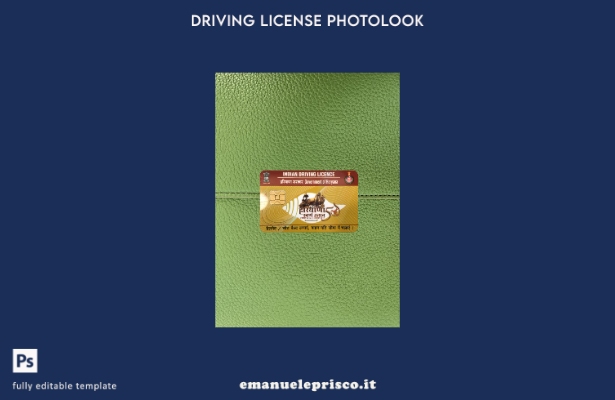 stile verificato modello anteriore photolook patente di guida statale India Hary