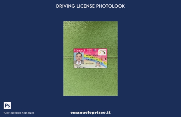 stile verificato modello anteriore photolook presente patente di guida USA Hawai