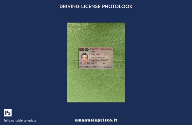 stile verificato patente di guida del Suriname presente modello anteriore photol