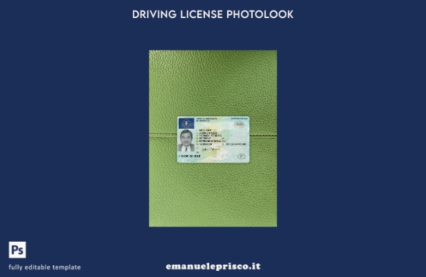 stile verificato patente di guida francese presente modello frontale photolook