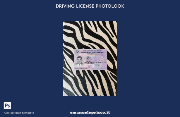 stile verificato patente di guida svizzera presente modello frontale photolook