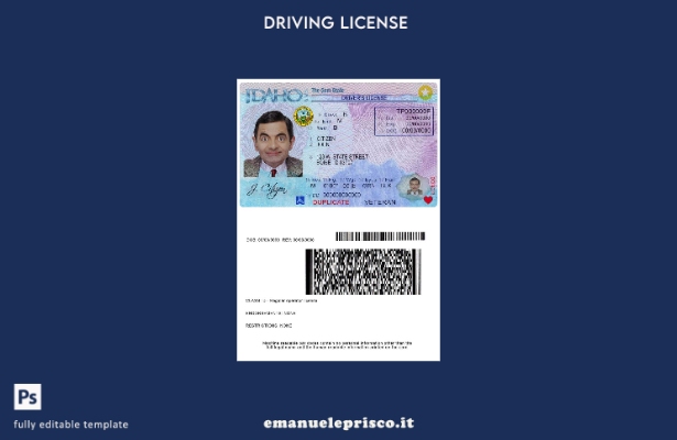 verified style Modello di patente di guida USA Idaho in stile verificato template