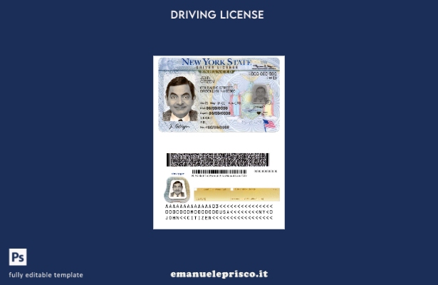 verified style modello DL USA New York in stile verificato template