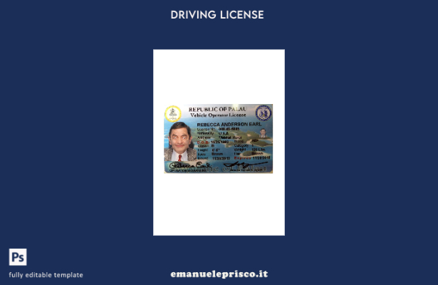 verified style modello di lato anteriore della patente di guida Palau stile verificato template