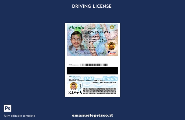 verified style modello di patente di guida USA Florida in stile verificato template
