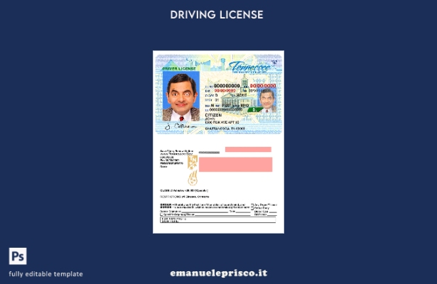 verified style modello di patente di guida USA Tennessee in stile verificato template