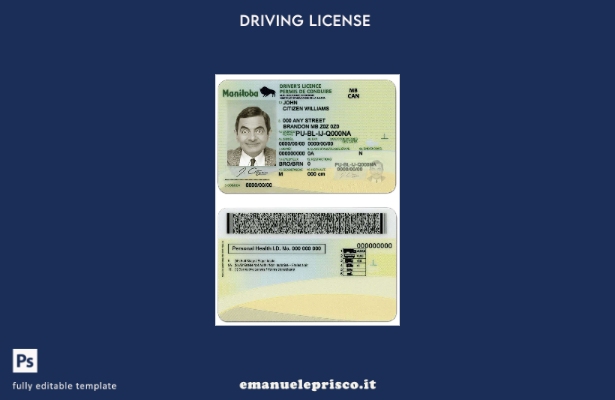 verified style modello di patente di guida della provincia canadese di Manitoba in stile verifi template