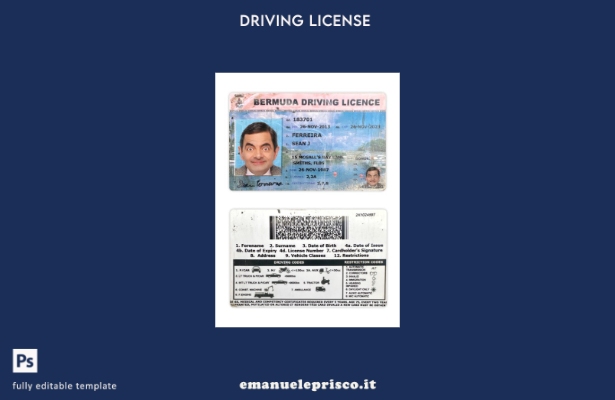verified style modello di patente di guida delle Bermuda in stile verificato template