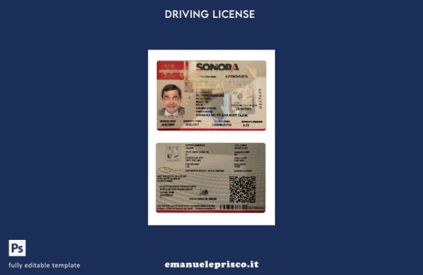 verified style modello di patente di guida dello stato del Messico Sonora in stile verificato template