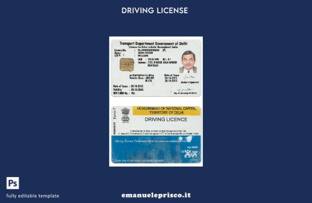 verified style modello di patente di guida indiana (Delhi) in stile verificato template
