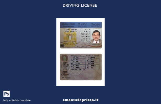 verified style modello di patente di guida palestinese in stile verificato template