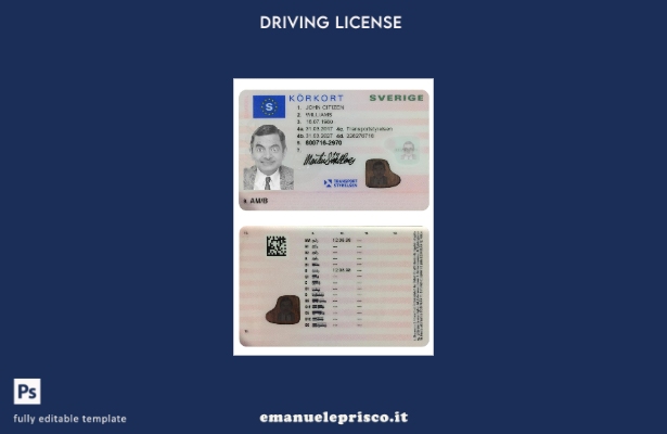 verified style modello di patente di guida svedese (presente) in stile verificato template