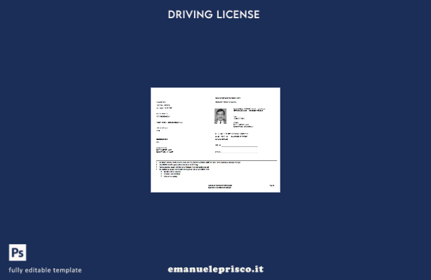 verified style modello di permesso temporaneo USA Texas in stile verificato template