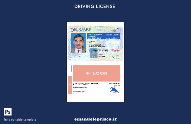 verified style modello di versione della patente di guida USA Delaware in stile verificato template