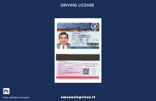 verified style modello di versione dl internazionale stile verificato template