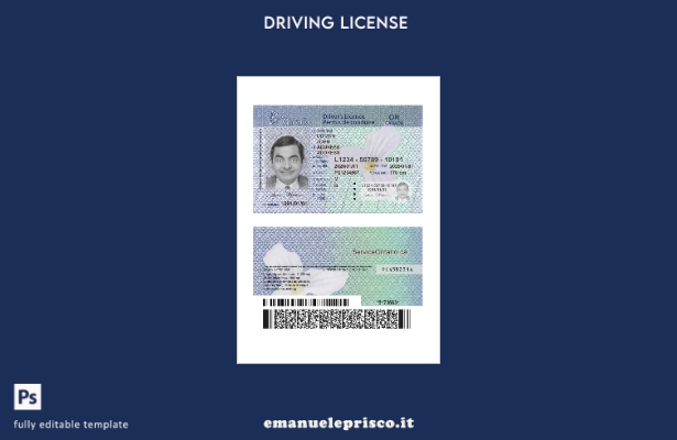 verified style modello di versione verificato in stile Canada Ontario DL ( presente). template
