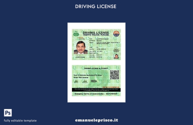 verified style modello presente patente di guida India Punjab in stile verificato template